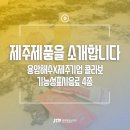 비케이에스디