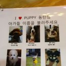 까페아이 이미지