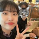 투어로 피곤했던 하루(2일차/호핑투어/미우미우스파/65번과일가게/제이제이씨푸드/시타딘스베이프런트호텔)