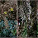 자이언(ZION) 이미지