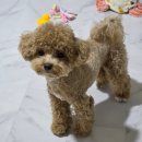 군청 후문 배출장 | [인천] 인하대 보드게임주점 / 인하대후문술집 / 인하대 애견동반 &#34; 보드게임카페 블랙쉽 인하대점 &#34;