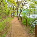 다산도시계획도로 | 운길산역에서 다산 생태공원까지 걸어봐요