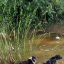 골프존파크 봉곡 실내 골프 연습장 이미지