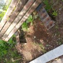 두실이네 이미지