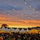 향기담기 이미지