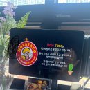 올라타코 네이버블로그