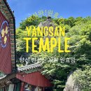 원효암 | [양산 가볼 만한 곳] 초록빛 가득한 원효암 108계단과 함께 힐링 투어하기 좋은 곳 (주차정보 포함)