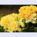 곡성-046 이미지