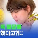 망고 알레르기 증상 망고 옻 알러지 입술 붓는 이유 이미지