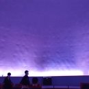 반디랜드 곤충박물관 이미지