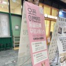 테일러퍼피 이미지