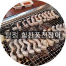 힘찬풍천장어 탕정점 이미지