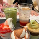 [대전 유성] 맷차 대전 신세계 Art&amp;Science점 / 도룡동카페 추천 신세계백화점 카페 내돈내산 후기