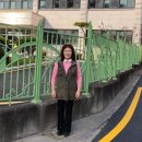 안법초등학교 이미지