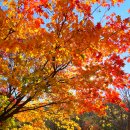 창진산장휴게소 | 겨울등산 추천! 모락산 사인암 국기봉 등산 후기