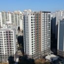단지내양지공인중개사사무소 이미지