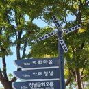 청널 이미지
