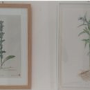 여주산림박물관 이미지