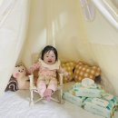 비아르떼 이미지