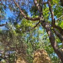 월롱체육공원 | 파주 월롱산