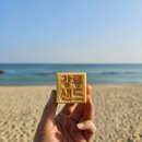 강원도 당일치기여행 : 봉포해수욕장, 봉포항, 경포, 안목해변, 양양소품샵, 속초아이대관람차, 춘천올...