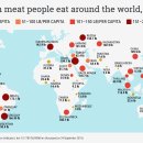 meat고 이미지
