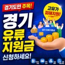 기흥 스마트주유소(주) | 2026 경기도 유류 민생지원금 고유가피해지원금 사용처 한눈정리 (수원 영통구 용인 기흥 수지 화성 동탄)