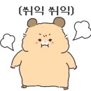 춘천중앙로숯불닭갈비 이미지