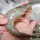 CU 역삼푸른점 | 남당항 맛집 남당항푸른바다 생새우 남대항대하축제 솔직후기