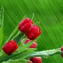 내컴퓨터 관리하기 이미지