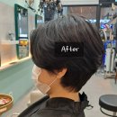 양지-2864 이미지