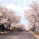 꽃길펜션 이미지