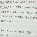 베스트필림