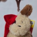 다이소 부산수정점 이미지