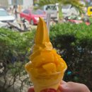 프리팜스 | 보홀 4박6일 프리다이빙 여행 일정 및 경비(투어 숙소 맛집 카페 추천!)