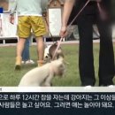 김수완농장 아시아경제