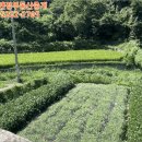 내서읍508 이미지