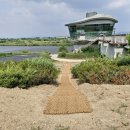 영산강로 | 야자매트와 현무암 호박돌 담장 이야기