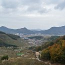 황금터부동산중개사무소 이미지