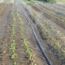 열방농장 이미지