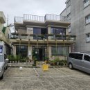 온더플라워 | [광주 식물가게 비바리움] 광주 우산동 '더플라워 비바리움' 이용후기