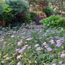 바우지움 조각 미술관 이미지