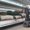 대구평리초등학교 이미지