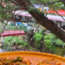 관광식당 | [봉화관광식당] 해산물과 토종닭백숙을 한번에 먹는 한방해신탕