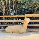 홍가농장 이미지