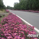 신천리마을회 이미지