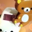 멍멍이샵 이미지