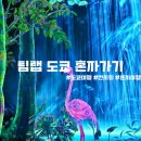 비플래닛 | 도쿄 비오는날 여자 혼자 팀랩 플래닛 도쿄 방문 솔직후기