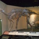 엑스포펜션민박 이미지