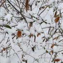 스마일어린이집 이미지